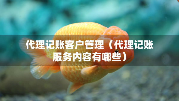 代理記賬客戶管理（代理記賬服務(wù)內(nèi)容有哪些）