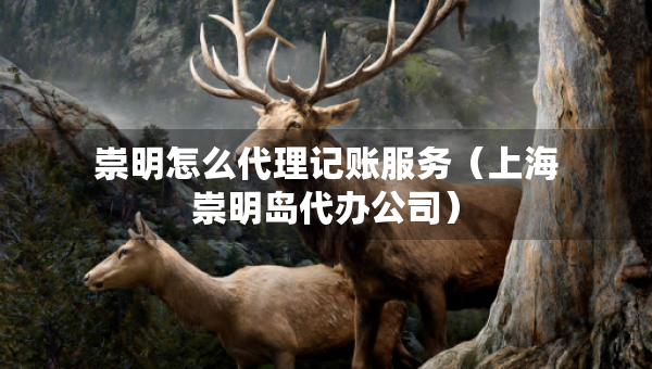 崇明怎么代理記賬服務(wù)（上海崇明島代辦公司）