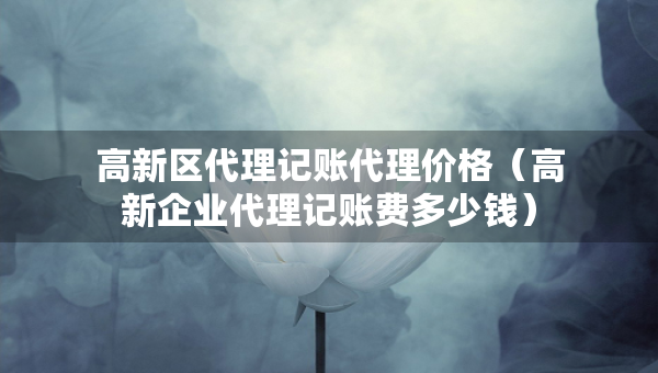 高新區(qū)代理記賬代理價(jià)格（高新企業(yè)代理記賬費(fèi)多少錢(qián)）