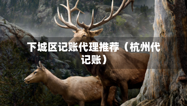 下城區(qū)記賬代理推薦（杭州代記賬）