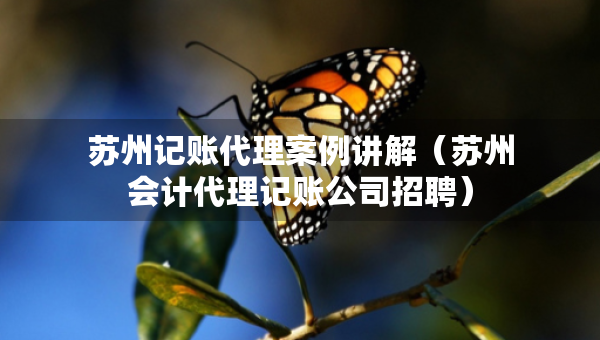 蘇州記賬代理案例講解（蘇州會(huì)計(jì)代理記賬公司招聘）
