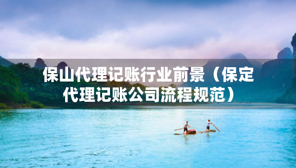 保山代理記賬行業(yè)前景（保定代理記賬公司流程規(guī)范）