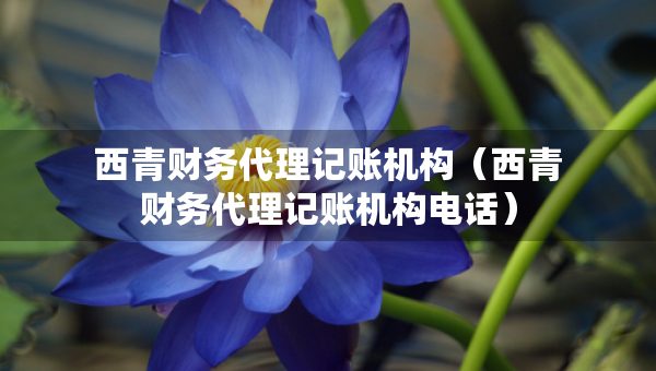 西青財(cái)務(wù)代理記賬機(jī)構(gòu)（西青財(cái)務(wù)代理記賬機(jī)構(gòu)電話）