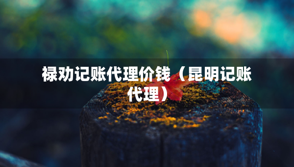 祿勸記賬代理價錢（昆明記賬代理）