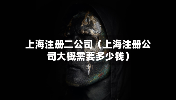 上海注冊(cè)二公司（上海注冊(cè)公司大概需要多少錢(qián)）