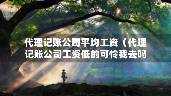代理記賬公司平均工資（代理記賬公司工資低的可憐我去嗎）