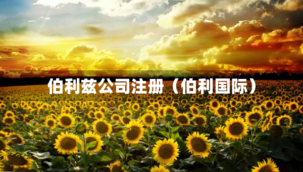 伯利茲公司注冊(cè)（伯利國際）
