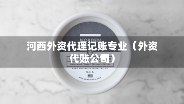 河西外資代理記賬專業(yè)（外資代賬公司）