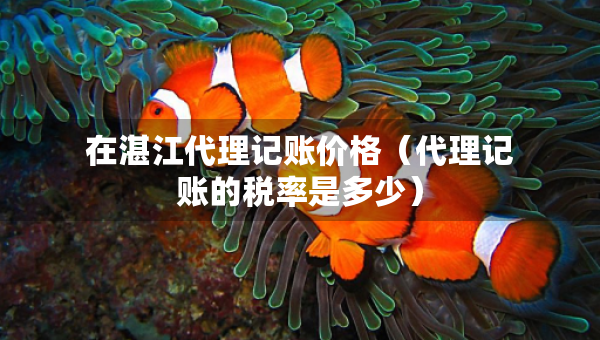 在湛江代理記賬價(jià)格（代理記賬的稅率是多少）