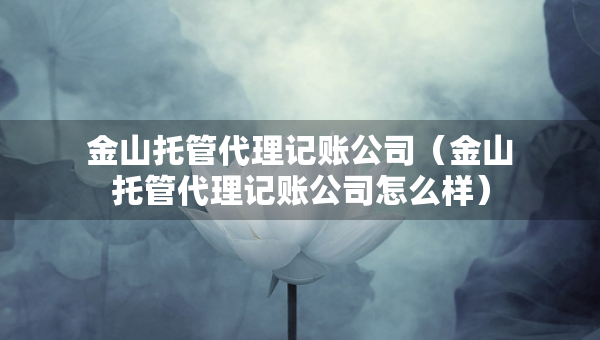 金山托管代理記賬公司（金山托管代理記賬公司怎么樣）