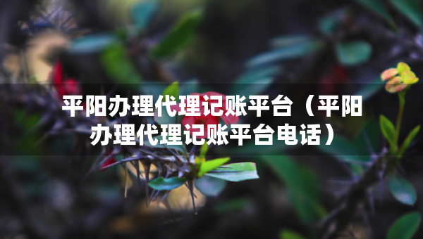 平陽(yáng)辦理代理記賬平臺(tái)（平陽(yáng)辦理代理記賬平臺(tái)電話）
