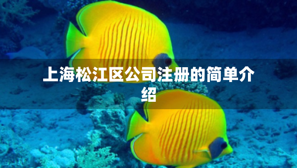 上海松江區(qū)公司注冊(cè)的簡(jiǎn)單介紹