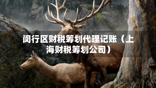 閔行區(qū)財(cái)稅籌劃代理記賬（上海財(cái)稅籌劃公司）