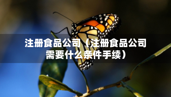 注冊(cè)食品公司（注冊(cè)食品公司需要什么條件手續(xù)）
