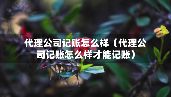代理公司記賬怎么樣（代理公司記賬怎么樣才能記賬）