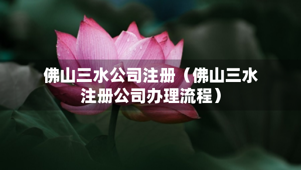 佛山三水公司注冊（佛山三水注冊公司辦理流程）