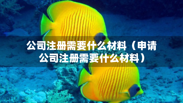 公司注冊(cè)需要什么材料（申請(qǐng)公司注冊(cè)需要什么材料）