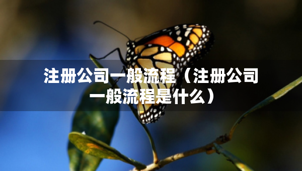 注冊公司一般流程（注冊公司一般流程是什么）