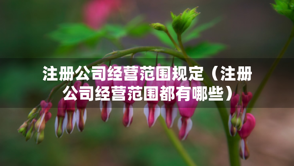 注冊(cè)公司經(jīng)營(yíng)范圍規(guī)定（注冊(cè)公司經(jīng)營(yíng)范圍都有哪些）