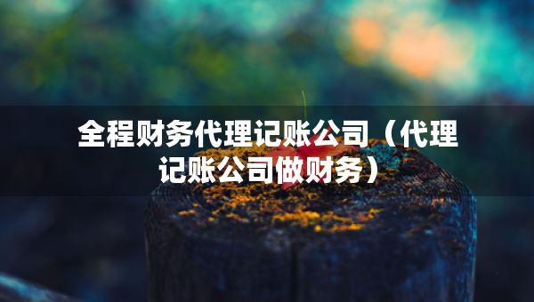 全程財(cái)務(wù)代理記賬公司（代理記賬公司做財(cái)務(wù)）