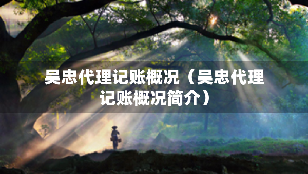吳忠代理記賬概況（吳忠代理記賬概況簡介）