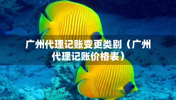 廣州代理記賬變更類別（廣州代理記賬價(jià)格表）
