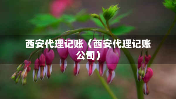 西安代理記賬（西安代理記賬公司）
