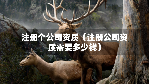 注冊(cè)個(gè)公司資質(zhì)（注冊(cè)公司資質(zhì)需要多少錢）