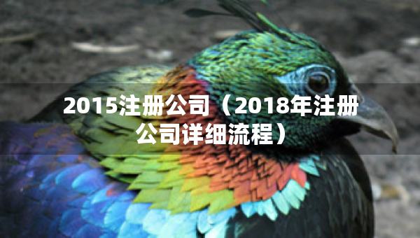 2015注冊公司（2018年注冊公司詳細(xì)流程）