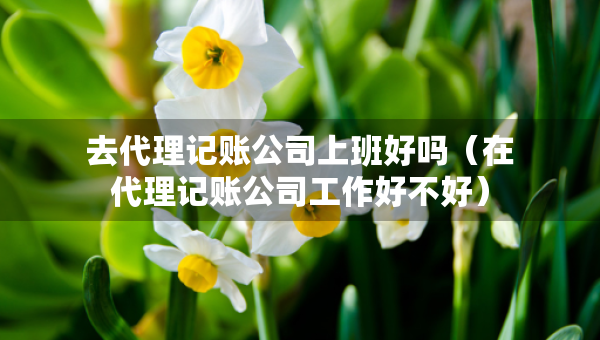 去代理記賬公司上班好嗎（在代理記賬公司工作好不好）