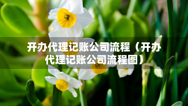 開辦代理記賬公司流程（開辦代理記賬公司流程圖）