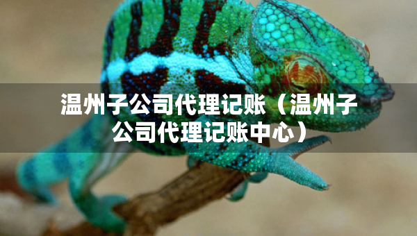 溫州子公司代理記賬（溫州子公司代理記賬中心）