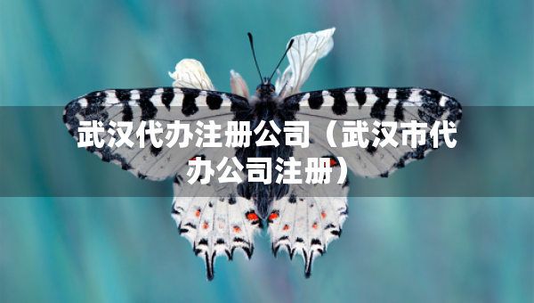 武漢代辦注冊(cè)公司（武漢市代辦公司注冊(cè)）