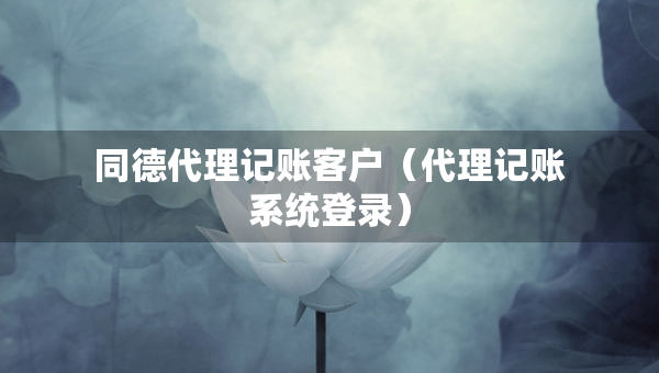同德代理記賬客戶（代理記賬系統(tǒng)登錄）