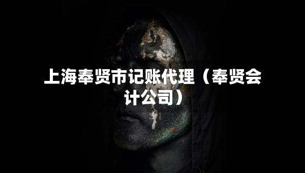 上海奉賢市記賬代理（奉賢會(huì)計(jì)公司）
