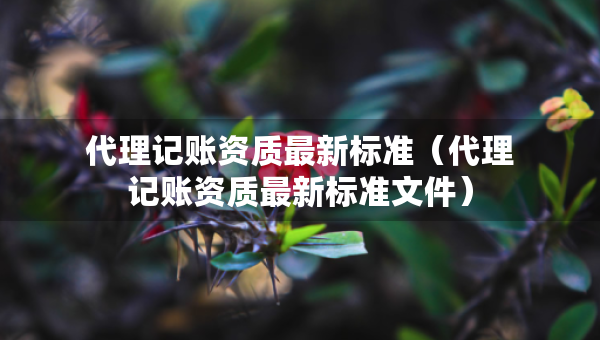 代理記賬資質(zhì)最新標準（代理記賬資質(zhì)最新標準文件）