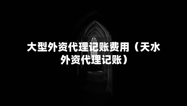 大型外資代理記賬費(fèi)用（天水外資代理記賬）