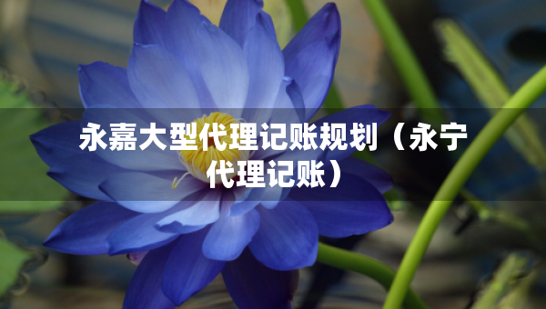 永嘉大型代理記賬規(guī)劃（永寧代理記賬）