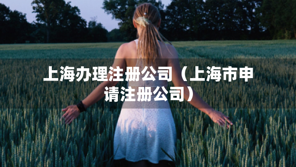 上海辦理注冊公司（上海市申請注冊公司）