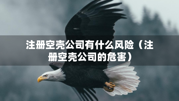 注冊空殼公司有什么風(fēng)險（注冊空殼公司的危害）
