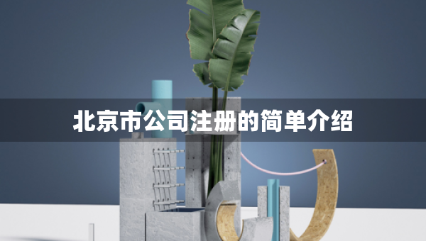 北京市公司注冊(cè)的簡(jiǎn)單介紹