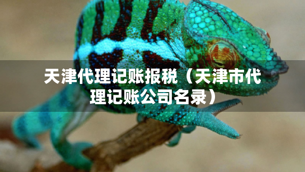 天津代理記賬報(bào)稅（天津市代理記賬公司名錄）