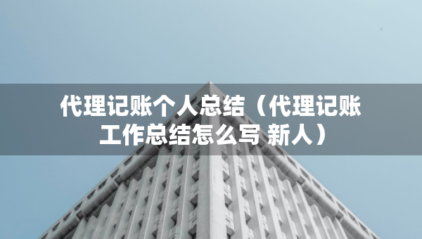 代理記賬個(gè)人總結(jié)（代理記賬工作總結(jié)怎么寫 新人）