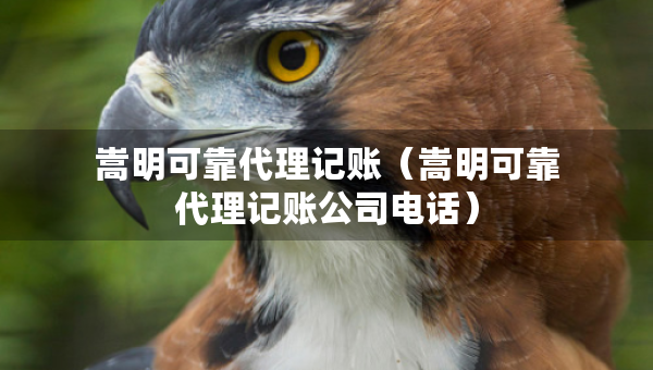嵩明可靠代理記賬（嵩明可靠代理記賬公司電話）