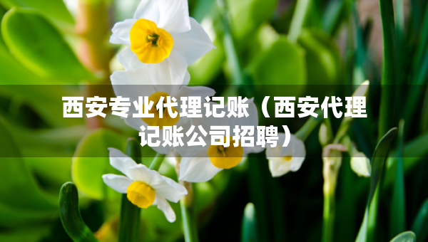 西安專業(yè)代理記賬（西安代理記賬公司招聘）