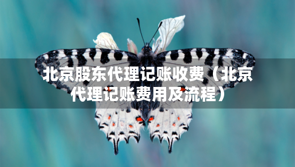 北京股東代理記賬收費（北京代理記賬費用及流程）