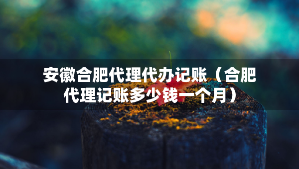 安徽合肥代理代辦記賬（合肥代理記賬多少錢一個月）