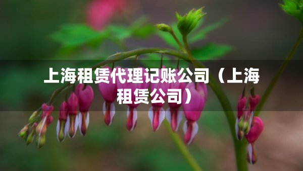 上海租賃代理記賬公司（上海 租賃公司）