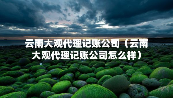 云南大觀代理記賬公司（云南大觀代理記賬公司怎么樣）