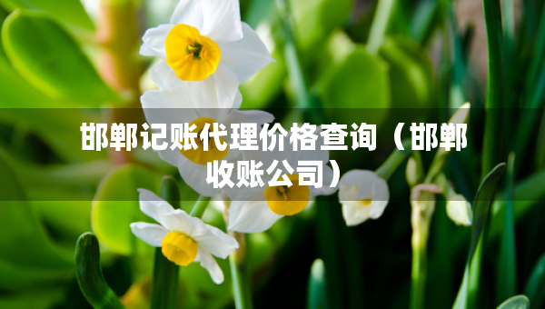 邯鄲記賬代理價(jià)格查詢（邯鄲收賬公司）